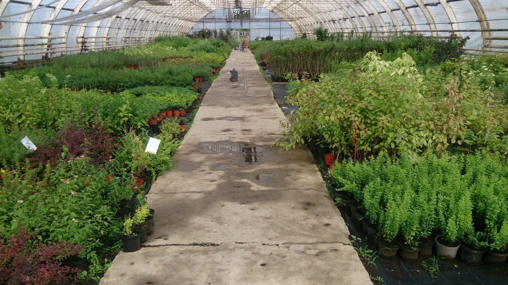 DSC_5074.jpg DSC_5074.jpg